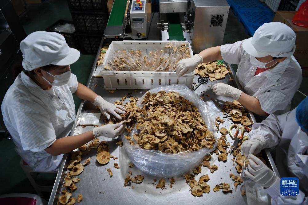 捕鱼网络版游戏